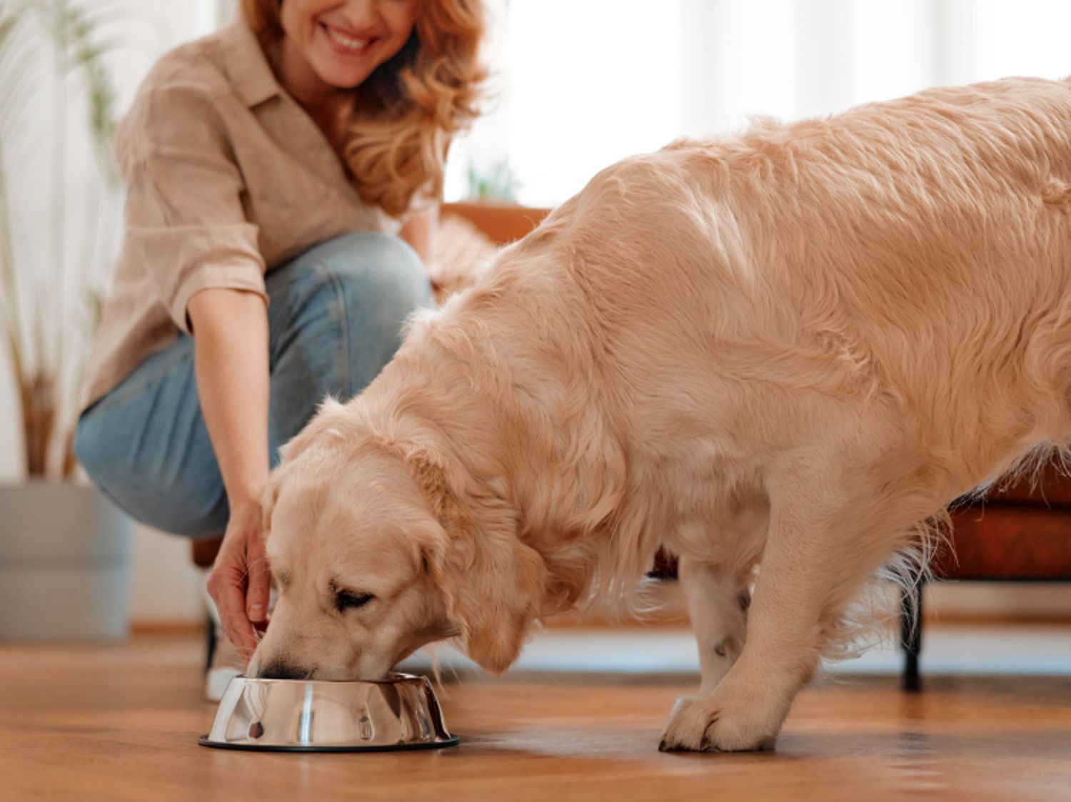 Woman crouching down and feeding her dog