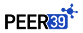 Peer39 Logo