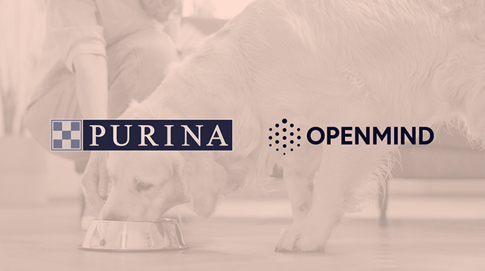 Golden Retriever eating food out of his bowl, with his owner crouching down, with Purina, Nestle and Openmind logos overtop