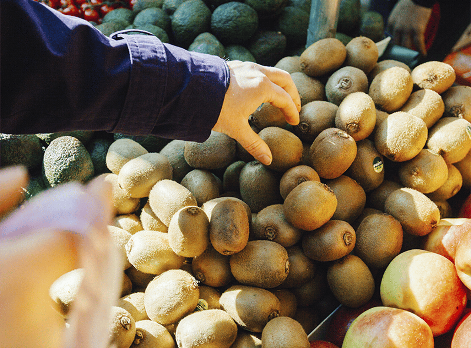 Image of a hand reaching into a pile of kiwis