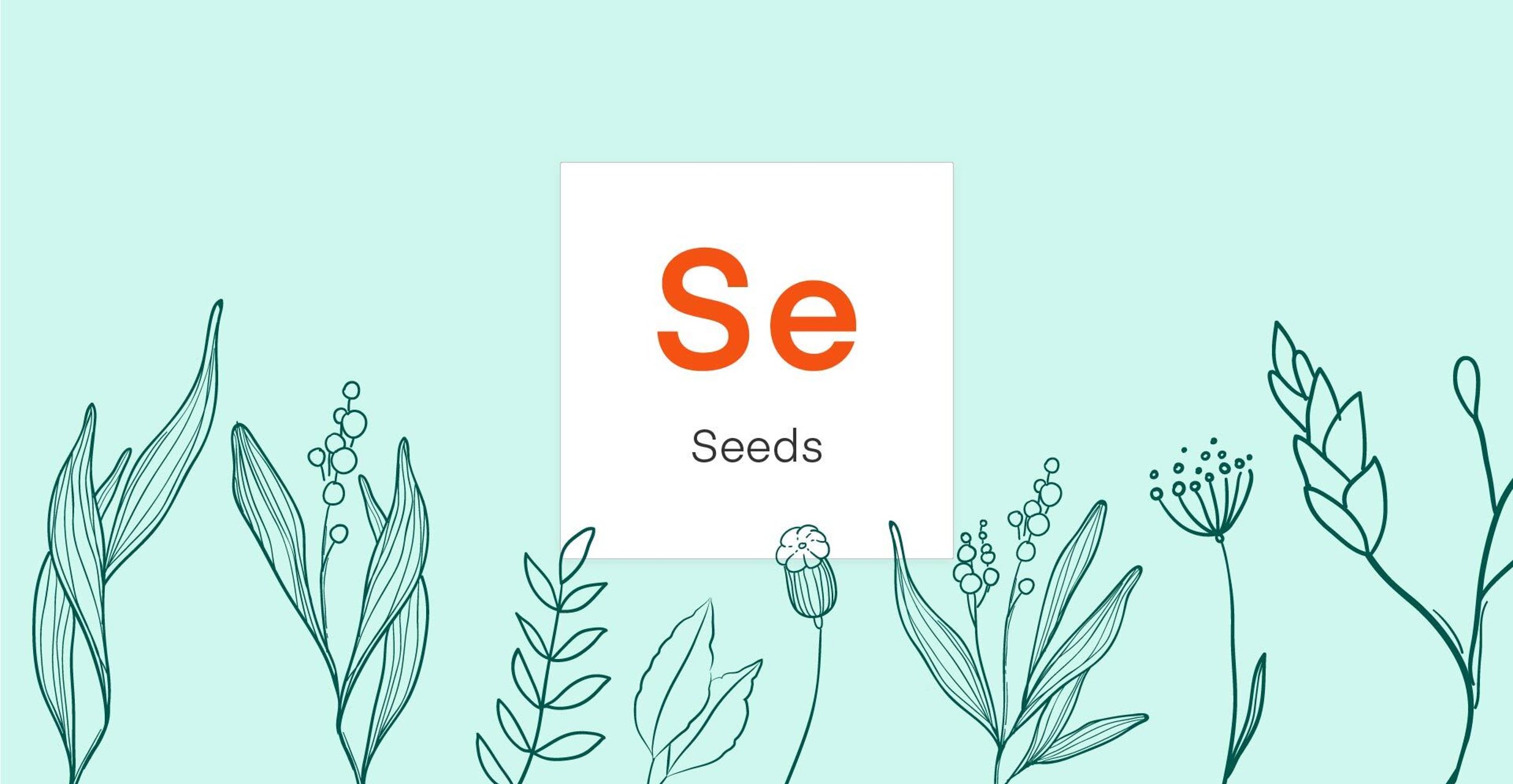 Graphic shows a box with the letters "Se" and "Seeds" below it against a green background with flowers