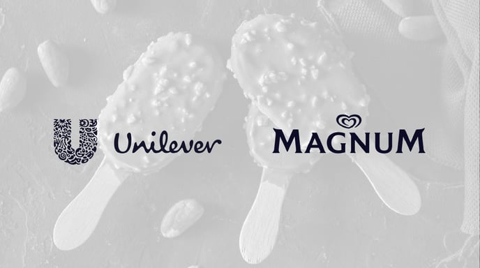 Unilever x Magnum x The Trade Desk - Case Study