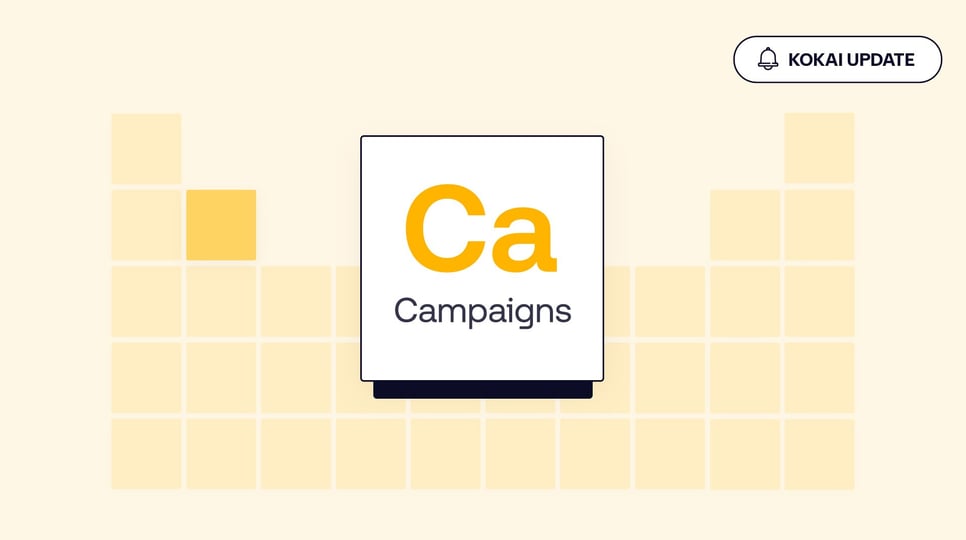Yellow graphic with "The Campaigns (Ca)" tile from The Trade Desk platform and an icon in the top corner that reads "Kokai Update"